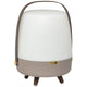 Lite Up Play Rechargeable Indoor/Outdoor Speaker Lamp