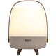 Lite Up Play Rechargeable Indoor/Outdoor Speaker Lamp