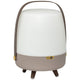 Lite Up Play Rechargeable Indoor/Outdoor Speaker Lamp