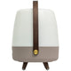 Lite Up Play Rechargeable Indoor/Outdoor Speaker Lamp