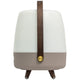 Lite Up Play Rechargeable Indoor/Outdoor Speaker Lamp