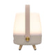 Lite Up Play Mini Rechargeable Indoor/Outdoor Speaker Lamp
