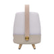 Lite Up Play Mini Rechargeable Indoor/Outdoor Speaker Lamp