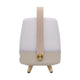 Lite Up Play Mini Rechargeable Indoor/Outdoor Speaker Lamp