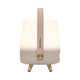 Lite Up Play Mini Rechargeable Indoor/Outdoor Speaker Lamp