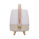 Lite Up Play Mini Rechargeable Indoor/Outdoor Speaker Lamp