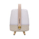 Lite Up Play Mini Rechargeable Indoor/Outdoor Speaker Lamp