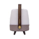 Lite Up Play Mini Rechargeable Indoor/Outdoor Speaker Lamp