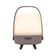 Lite Up Play Mini Rechargeable Indoor/Outdoor Speaker Lamp