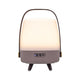Lite Up Play Mini Rechargeable Indoor/Outdoor Speaker Lamp