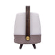 Lite Up Play Mini Rechargeable Indoor/Outdoor Speaker Lamp