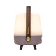 Lite Up Play Mini Rechargeable Indoor/Outdoor Speaker Lamp