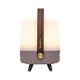 Lite Up Play Mini Rechargeable Indoor/Outdoor Speaker Lamp