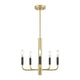 DVI - Olivia 5 Light Chandelier - Lights Canada
