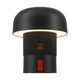 Sensa Play Mini Rechargeable Indoor/Outdoor Speaker Lamp