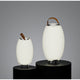 Synergy 50 Rechargeable Indoor/Outdoor Speaker Lamp