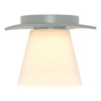 Wren Flush Mount