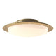 Oceanus Semi-Flush