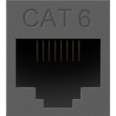 Cat 6 RJ45 Data Insert