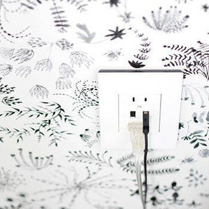 Legrand - Dual USB Plus-Size Outlet Combo with Matching Wall Plate - Lights Canada