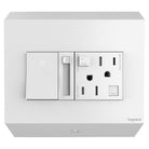 Legrand - Control Box with Paddle Dimmer and 15A GFCI Outlet - Lights Canada
