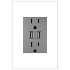 Legrand - Dual USB Plus-Size Outlet Combo with Matching Wall Plate - Lights Canada