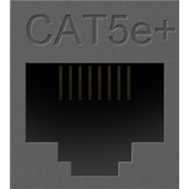 Cat 5e RJ45 Data/Phone Insert