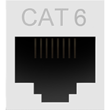 Cat 6 RJ45 Data Insert