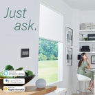 Legrand - Adorne Smart Switch Starter Kit with Gateway and Home/Away Wireless Smart Switch with Netatmo - Lights Canada