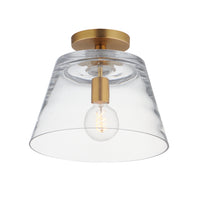 Hudson 1-Light Semi-Flush Mount/Pendant