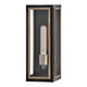 Shaw 1-Light Medium Wall Mount Lantern