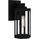 Mesnick Small Outdoor Wall Lantern
