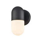 DVI - Capsule Small Outdoor Sconce - Lights Canada