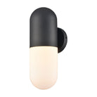 DVI - Capsule Medium Outdoor Sconce - Lights Canada