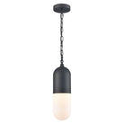 DVI - Capsule 1 Light Outdoor Pendant - Lights Canada