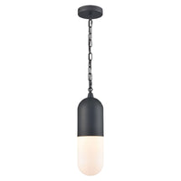 Capsule 1 Light Outdoor Pendant