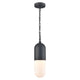 DVI - Capsule 1 Light Outdoor Pendant - Lights Canada