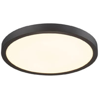 Typhoon CCT 9" Flush Mount