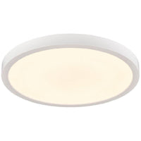 Typhoon CCT 9" Flush Mount