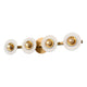 DVI - Waverly Heights 4 Light Vanity - Lights Canada