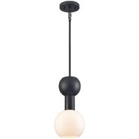 Lillooet 1 Light Pendant