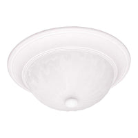 2-Light 13" Ceiling Light
