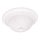 2-Light 13" Ceiling Light