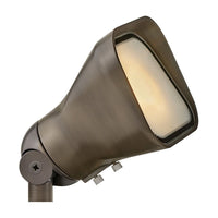 Hardy Island Accent Flood Light