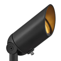 Hardy Island Accent Spot Light