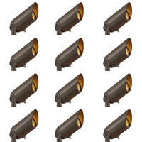 Hardy Island Accent Spot Light