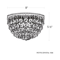 Petit Crystal 3-Light Flush Mount