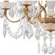 Century 6-Light Chandelier