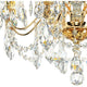 Century 8-Light Chandelier