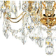 Century 8-Light Chandelier